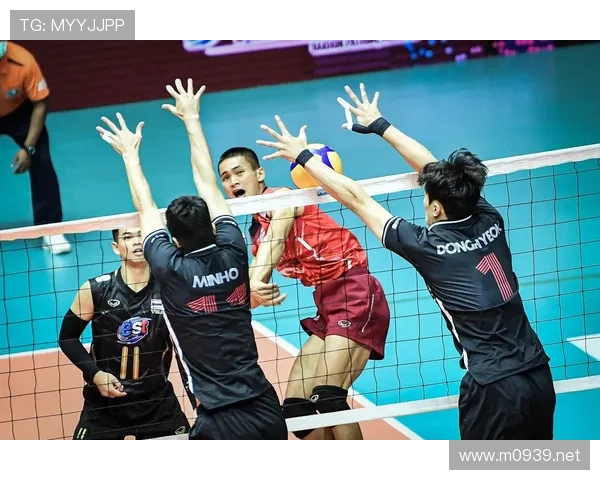 体育频道有没有男排联赛（今晚体育频道男排直播）sports